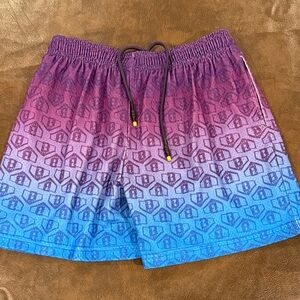 Baseball Lifestyle 101 Youth L purple gradient shorts